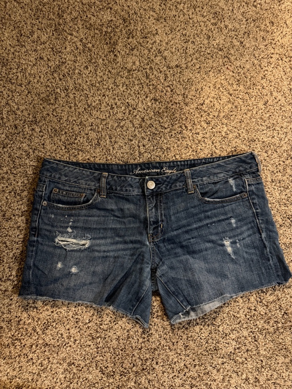 American Eagle Outfitters Dark Wash Distressed Jean Shorts